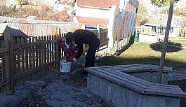 Çukurca Belediyesinden sokak hayvanlarına mama desteği