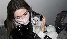 Depremden bu yana kayıp kedisine 42 gün sonra kavuştu