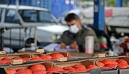 Domates ihracatı yasağı yeniden gözden geçirilsin