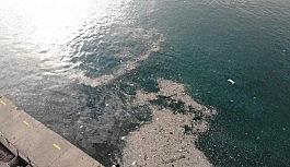 (Drone) Sokağa çıkma kısıtlamasında İstanbul Boğazı'nda çöp adaları oluştu