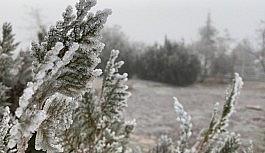Elazığ'da ağaçlar kırağı tuttu, süs havuzları dondu