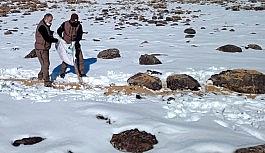 Elazığ'da kaçak avla mücadele ve yaban hayvanlarına yem desteği