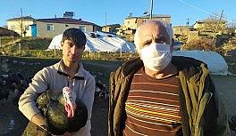 Elazığ'da pandemi ve yasaklar hindiye talebi azalttı