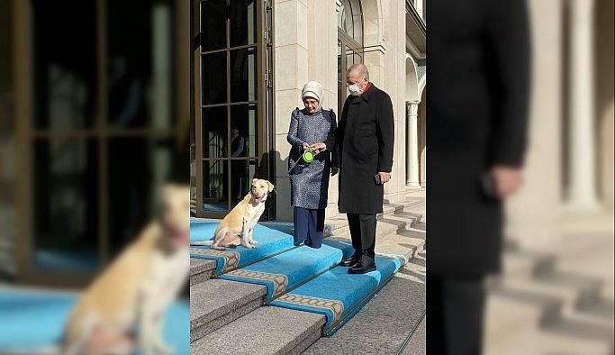 Emine Erdoğan, Cumhurbaşkanı Erdoğan'ı "Leblebi" ile birlikte uğurladı