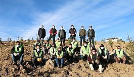 Erciş'te bin 742 adet fidan dikildi