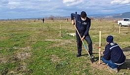 Eski çöplük yeşil alan oluyor