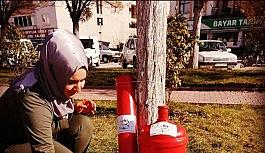 Eski damacanalar kedi yuvası oldu