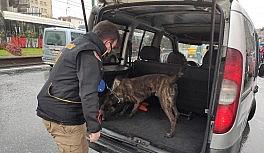 Fatih'te geniş çaplı 'narkotik' uygulaması