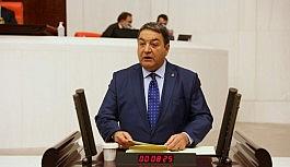 Fendoğlu'ndan Türk Dili'nin önemine vurgu