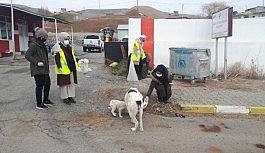 Gönüllü öğretmenler sokak hayvanlarına mama bıraktı