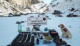 Hakkari'de silah ve mühimmat ele geçirildi