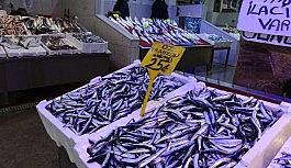 Hamsi fiyatıyla şaşırtmaya devam ediyor