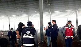 Iğdır'da korona virüs denetimleri devam ediyor