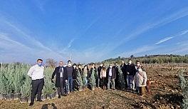 İzmir'de her çocuk adına bir fidan