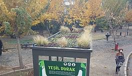 İzmir'deki 'doğa dostu' durak görenleri şaşırtıyor