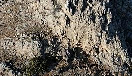 Kaçak av ile mücadelede teknolojik takip