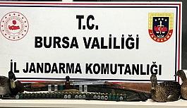 Kaçak avcılar, jandarma yakalandı