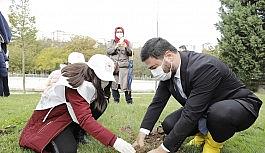 Kağıthane'de her köşebaşına ağaç