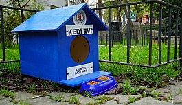 Kağıthane'de sokak hayvanları unutulmuyor