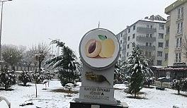 Kar uyarısı yapılan Iğdır beyaz gelinliğini giydi