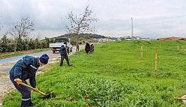 Karacabey'de binlerce fidan toprakla buluşuyor