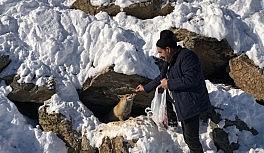Karla mücadele ekibi aç tilkinin karnını duyurdu