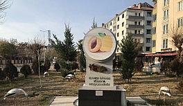 Kayısı diyarında sokaklar sessizliğe büründü