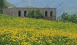 "Kayme Sarayı" fotoğrafının bira kutusuna işlenmesi tepki çekti