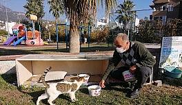 Kemer Belediyesi sokak hayvanlarının yanında