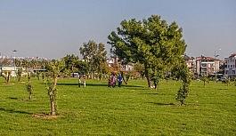 Kepez , moloz alanı yeşil bahçeye dönüştürdü