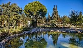 Kepez yeşil alanda altın yıllarını yaşıyor