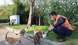 Kısıtlamada sokak hayvanları unutulmadı