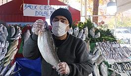 Kısıtlamada vatandaşlardan balıklara yoğun ilgi