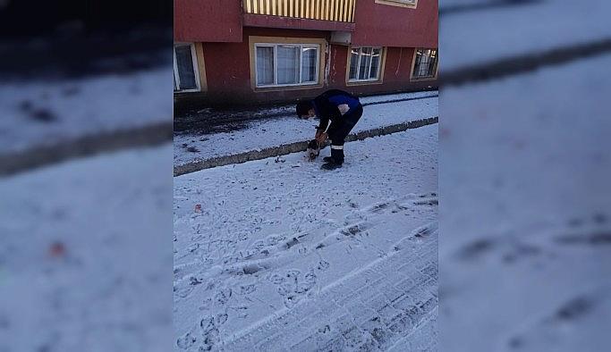 Kısıtlamalarda sokak hayvanları unutulmuyor