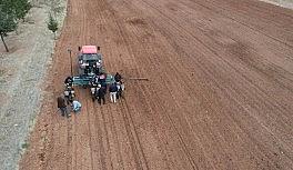 Konya lavantanın merkezi olacak