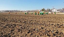 Konya'da tıbbi aromatik bitki yetişecek