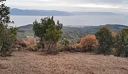 Korona virüsü fırsat bilen uyanıklar, devlet arazilerine kondu