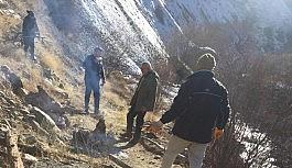 Köylüler, yaban keçilerini korumak için nöbet tutmaya başladı