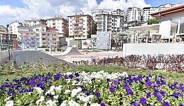 Mamak yeşil alanda altın çağlarını yaşıyor