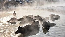 Mandaların buz gibi havada kaplıca keyfi