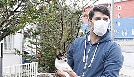 Mola yerinde kaybettiği kedisi için 400 kilometre geri geldi