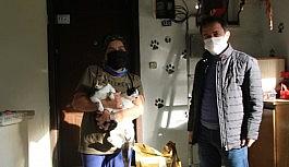 Muhtar sokak hayvanlarını kendi imkanları ile besliyor