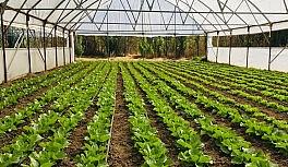 Organik Tarım Desteklemeleri müracaatları başladı