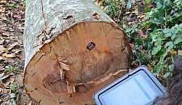 Ormanda 'barkod' sistemi