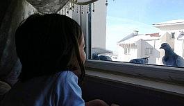 (Özel) Minik Berre'nin hayvan sevgisi