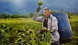 (Özel) Nilüfer'in tarım arazileri mercek altında