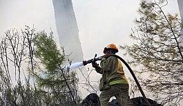 Pandemi döneminde 813 hektar alan yandı