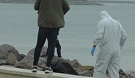 Pendik'te sahilde denizden erkek cesedi çıkartıldı