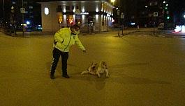 Polis memuruyla köpeğin gülümseten görüntüleri