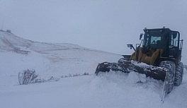 Saray'da kar hayatı olumsuz etkiledi